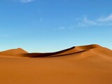 Fototapeta Sawanna - sand dunes in the desert
