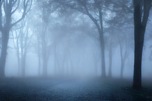 Spooky Blue Moment In A Misty Night.