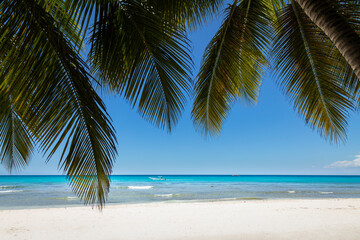 Wall Mural - Tropical beach in caribbean sea, idyllic Saona island, Dominican Republic