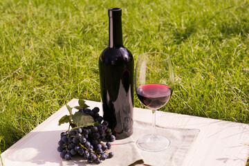 Canvas Print - Red wine and delicious grapes served on green grass outdoors