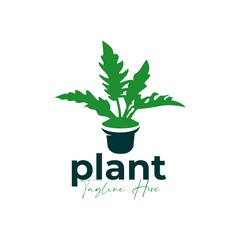 Poster - flower plant vector illustration logo design