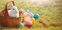 Happy Easter! A White Rabbit Sits In A Brown Wicker Basket In A Meadow. Easter Eggs Are Distributed. Ideal As Decoration Or Header/banner/wallpaper. Space For Text.