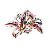 Fototapeta Motyle - Color sketch of lilies with transparent background