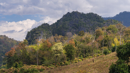 Wall Mural - Colorful landscape view with limestone mountain and blooming trees in scenic Chiang Dao rural valley, Chiang Mai, Thailand