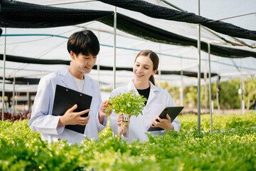 biologist puts sprout in test tube for laboratory analyze. two scientists stand in organic farm. che