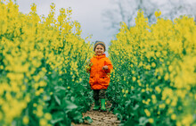 Little Kid Have A Fun In Rapeseed Filed In Country