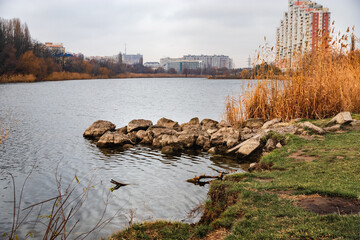 An urban landscape with a lake overgrown with reeds near the shore and a clear sky. Beautiful view of the lake or river with reed grass. Natural background with dry reed grass. Urban landscape.