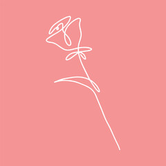 Wall Mural - One line rose design. Hand drawn minimalism style vector illustration