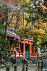 Sticker - 日本　奈良県奈良市の奈良公園内にある春日大社の若宮神社