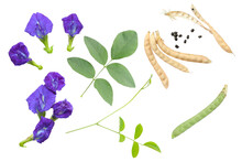  Set Of Flower Or Blue Pea, Bluebellvine , Cordofan Pea, Clitoria Ternatea With Green Leaf Isolated On White Background. Top View. Flat Lay. Transparent Background, Png.
