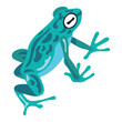 blue frog exotic animal