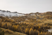 Snowy Range With Autumn Colors