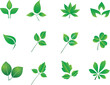 © Muhammad - Set of green leaf icons. Leaves icon. Leaves of trees and plants. Collection green leaf. Elements design for natural, eco, bio, vegan labels. Vector illustration. stock illustration