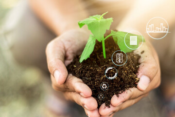 hand touching planting small plants with holographic soil environmental science with new future technology business planning development and conservation protection