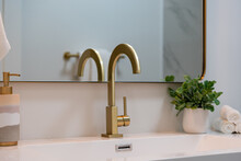 Modern Bathroom Details Of Sink With Gold Faucet, Gold Rim Mirror, Green Plant And Multi Color Soap Dispenser.