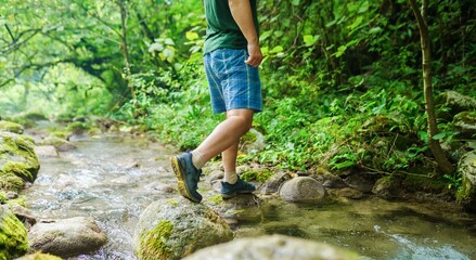 Canvas Print - walking in the forest