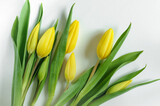 Fototapeta Tulipany - Bouquet of spring yellow tulips on white paper. Top view, natural light