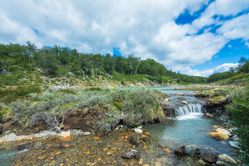 Wall Mural - View of a beaver dam at the trail to Laguna Esmeralda (Emerald Lake) - Ushuaia, Argentina