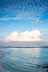 Poster - background of turquoise sea and blue sky