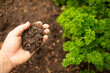 © kieferpix - Hand holding rich fertile soil from the garden bed