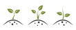 © Назарій - Plant sprout icon set. seedling, sprouted and planting symbol. isolated vector image