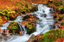 Autumn Landscape - View Of A Mountain River With A Cascade Of Waterfallsin The Autumn Forest, Carpathians, Ukraine
