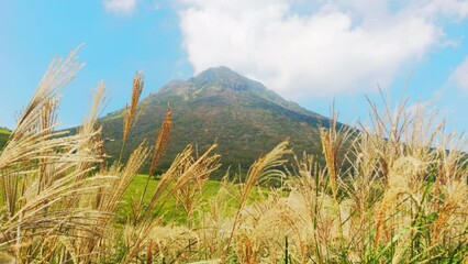 Wall Mural - Dramatic view of high mountains and green field under the blue sky, Mt. Yufudake in Oita Prefecture in Japan, Travel or outdoor background	