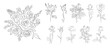Set of Rose flowers line art illustrations. Hand drawn monochrome black ink style sketch. Trendy greenery drawing for tattoo, logo, wall art, card, packaging. Transparent background. PNG. STickers.