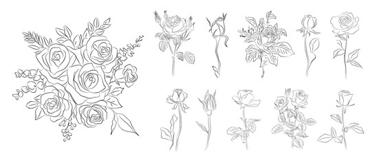Wall Mural - Set of Rose flowers line art illustrations. Hand drawn monochrome black ink style sketch. Trendy greenery drawing for tattoo, logo, wall art, card,  packaging. Transparent background. PNG. STickers.