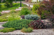 © Marina - A fragment of a public park with a gravel garden. Perennial plants in landscape design.