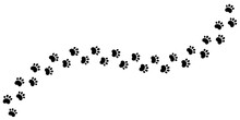 Dog Paw Print Wave Line. Cute Cat Pawprint. Pet Foot Trail. Black Dog Step Silhouette. Simple Doodle Drawing. Vector Illustration Isolated On White Background.