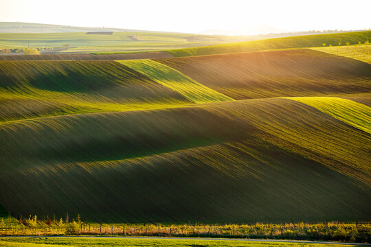 Wall Mural - Perfect morning sunlight on the wavy fields and farmland. South Moravia region, Czech Republic, Europe.