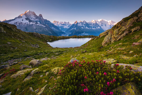 Wall Mural - Gorgeous morning scene of high alpine lake Lac Blanc and Mont Blanc glacier. Graian Alps, France, Europe.
