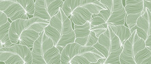 Vector Green Tropical Background With Palm Leaves For Decor, Covers, Backgrounds, Wallpapers