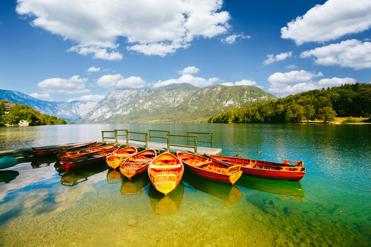 Wall Mural - Moored colorful canoes and wooden boats on the Bohinj lake. Triglav national park, Slovenia, Europe.