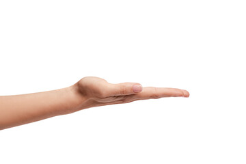 Wall Mural - woman's hand holding something