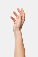 Wall Mural - beauty female hand