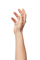Wall Mural - beauty female hand