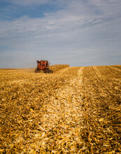 Fall Wheat Harvest