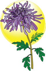 Poster - Illustration of Chrysanthemum flower with leaves on soft yellow circle background