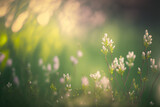 Fototapeta Natura - Close up spring blossom branches with beautiful small white buds. Floral outdoor nature background with selective focus and bokeh effect. Golden hour sun light. AI generative image.