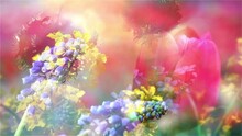 Cherry Blooming Branch Against Garden Flowers In The Warm Sunshine. Slow Motion Panoramic View. Magnificent Multicolored Nature.
