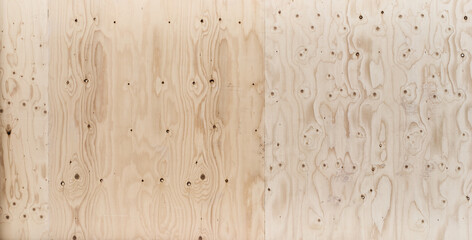 Wall Mural - Texture of a wooden surface