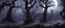 Silhouettes Of Trees In A Dark Night Forest With A Blue Tint Of Fog. Fantastic Mysterious Landscape. Foggy Forest Background. Paranormal, Mystical Concept. Vector Illustration.