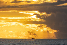 Landscape Of Bright Yellow Sunset Sky Over The Dark Sea - Industrial Boat Sails In The Distance