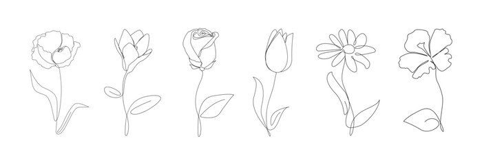 Wall Mural - Continuous line drawing of flowers.Poppy,magnolia,tulip,rose ,camomile with leaves one line drawing.Tropical flowers.Hand drawn flowers.Single one line flowers set .Flowers outline sketch.