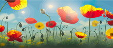Flower Poppy Meadow In Spring At The Foot Of A Mountain Range. Banner Illustration. Poppies Beautiful Slopes In The Meadows
