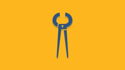 Poster - Blue Pincers and pliers icon isolated on orange background. Pincers work industry mechanical plumbing tool. 4K Video motion graphic animation