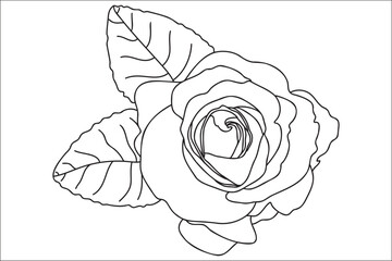 Wall Mural - 
Blooming rose painted with a black outline, intended for cards, prints, tattoos, Valentine's Day, March 8