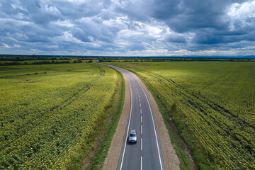 Wall Mural - Aerial view of intercity road between green agricultural fields with fast driving car. Top view from drone of highway traffic